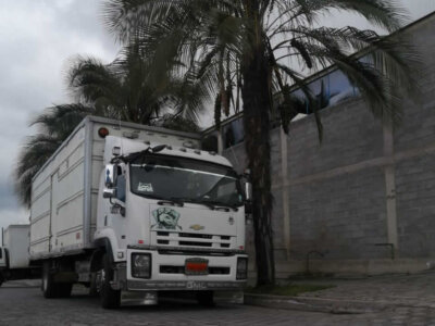 Chevrolet Isuzu FTR 2015